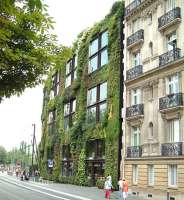 Patrick Blanc - Musee du Quai Branly